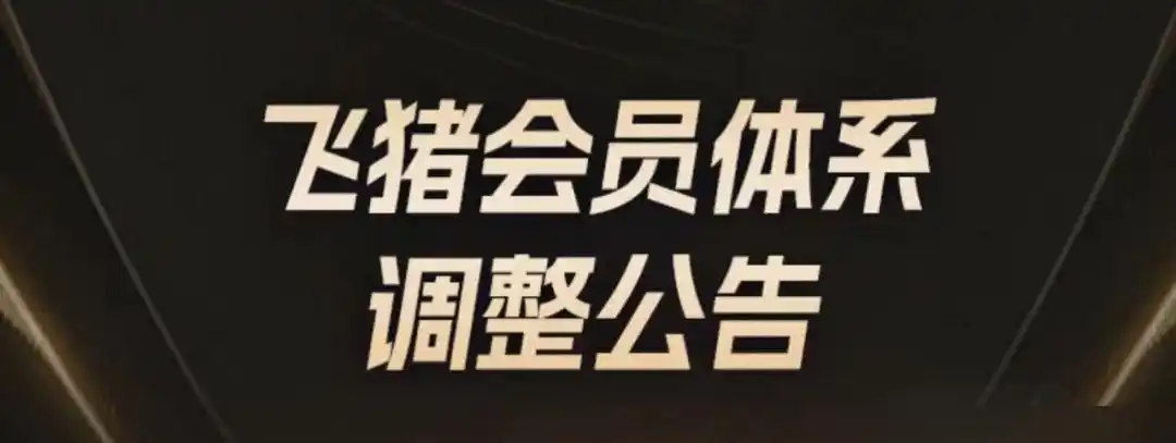 猪飞上天的成语_猪飞上天图片_飞猪