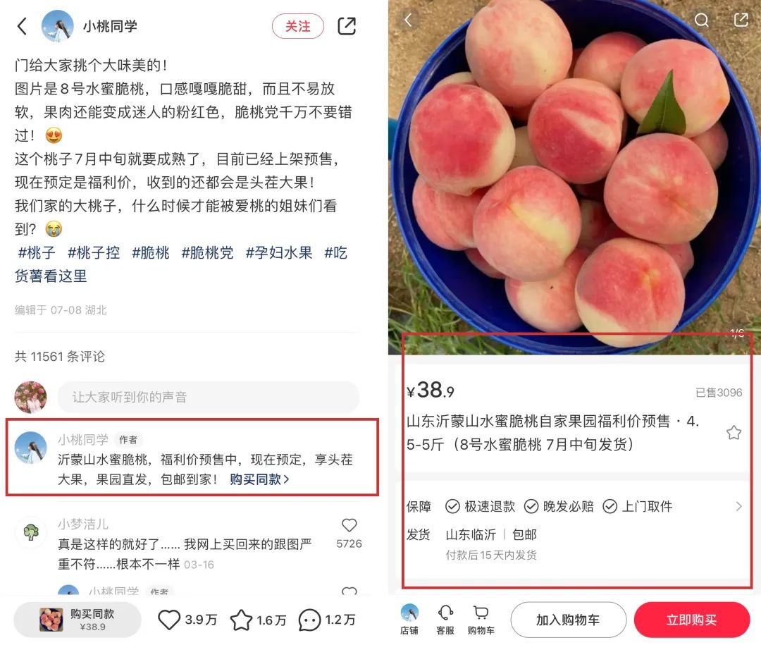 小红书开店流程及费用_小红书_小红书官网