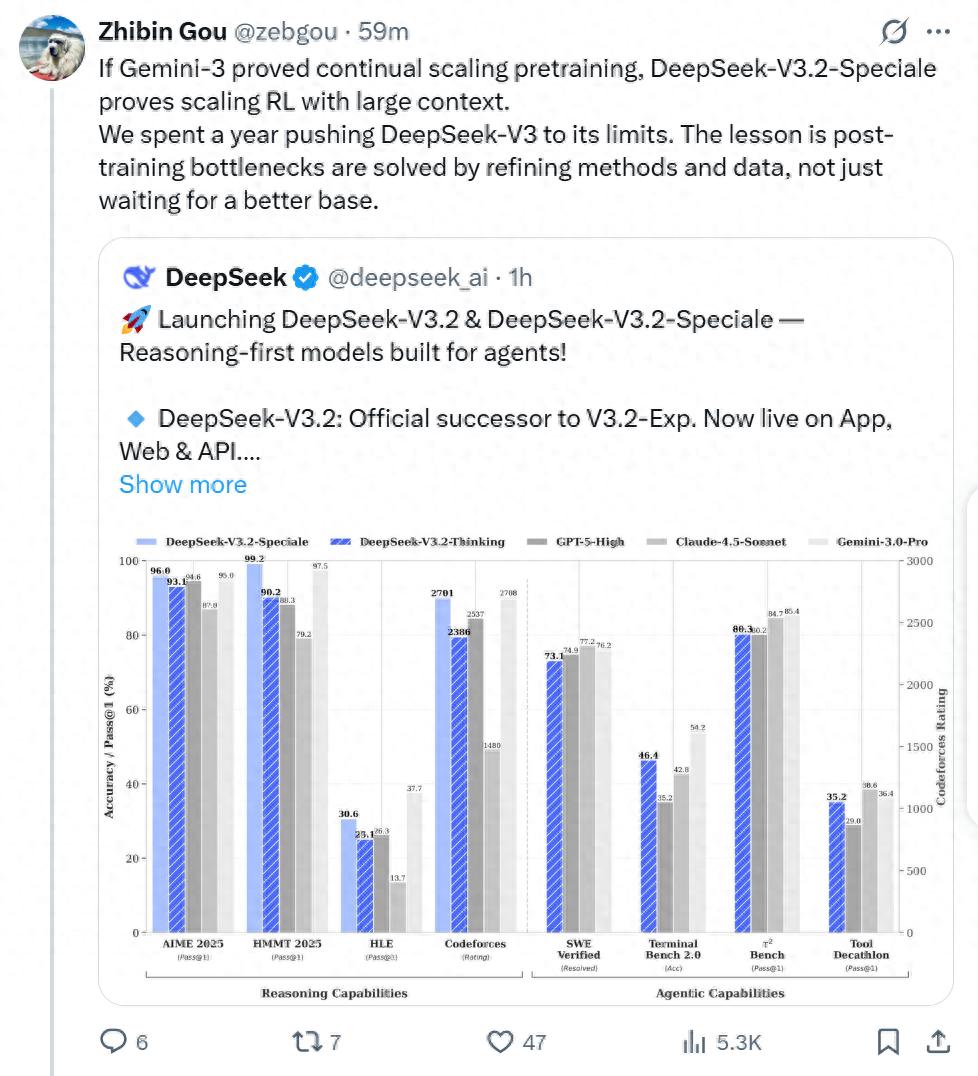 deepseek_DeepSeek-V3.2开源模型性能竞赛_DeepSeek-V3.2-Speciale工具调用能力