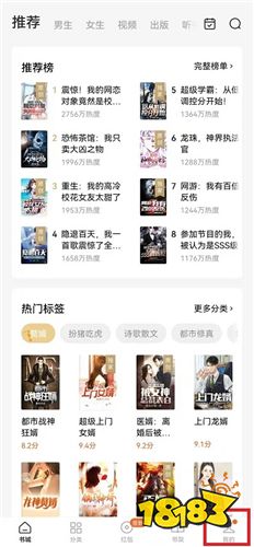 番茄小说官方入口