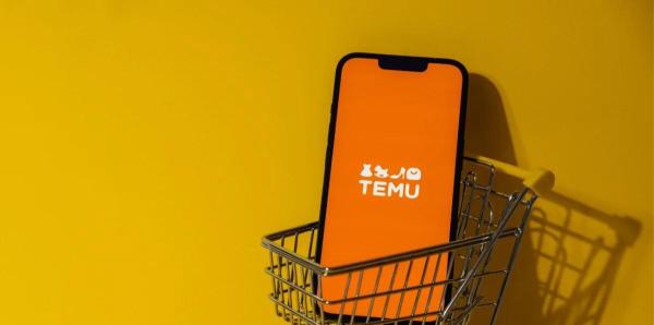 TEMU_美国公司入驻Temu本土店流程_跨境电商