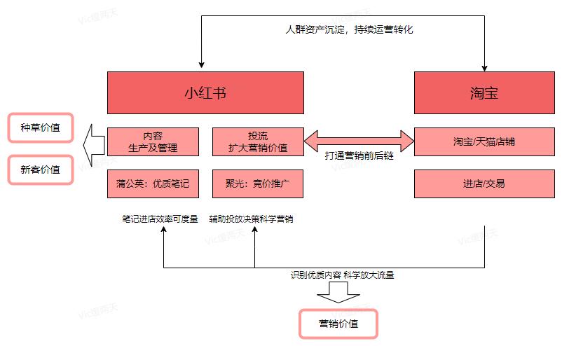 小红书出海困局_小红书_小红书下载