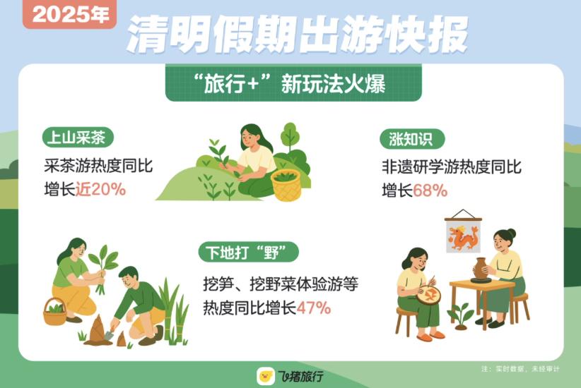 猪飞上天_猪飞起来的图片_飞猪
