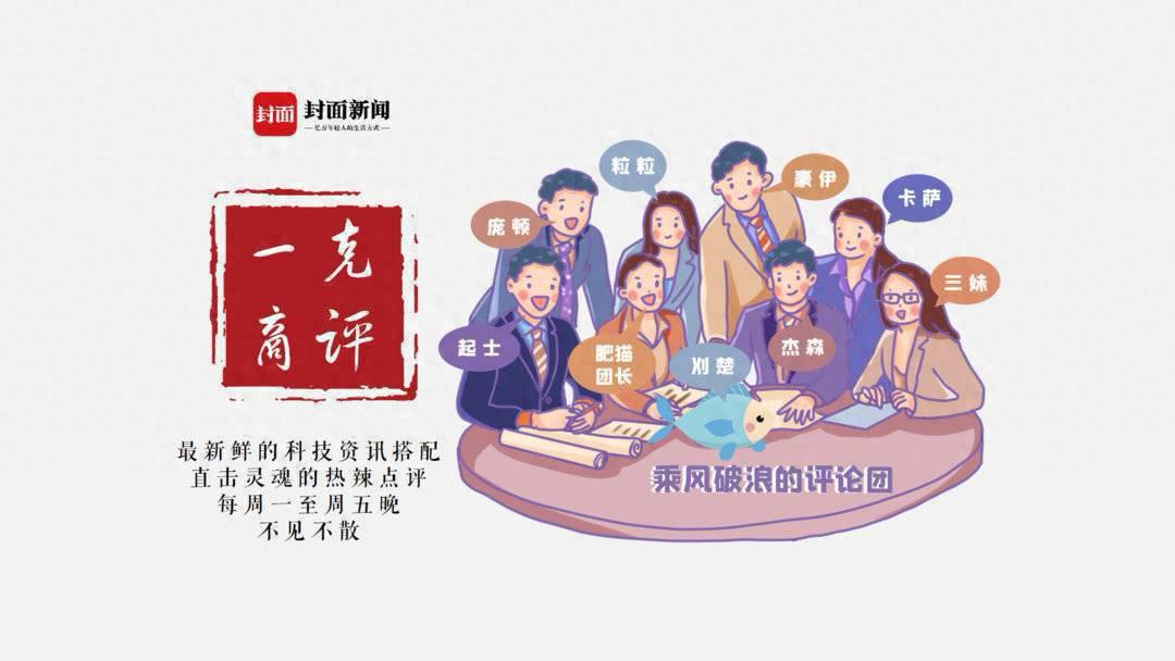 猪飞起来了啥意思_猪飞上天图片_飞猪