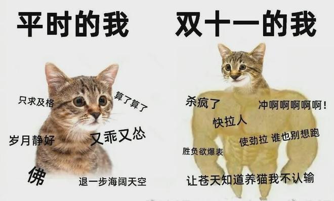 淘宝双十一养猫游戏_淘宝双十一游戏_双十一帮喵喵盖楼