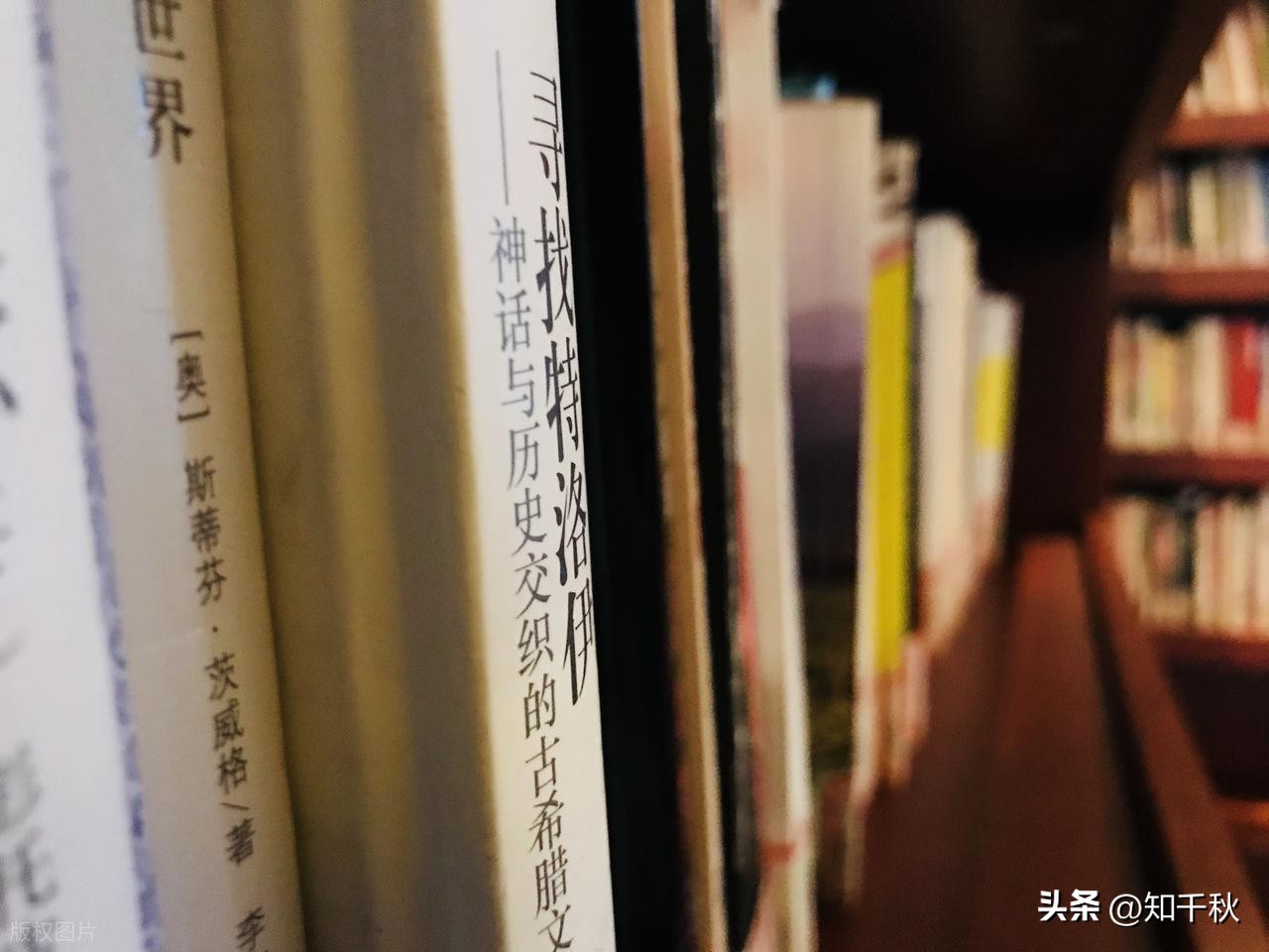 番茄小说_番茄小说新人写作指南_番茄小说写作赚钱技巧