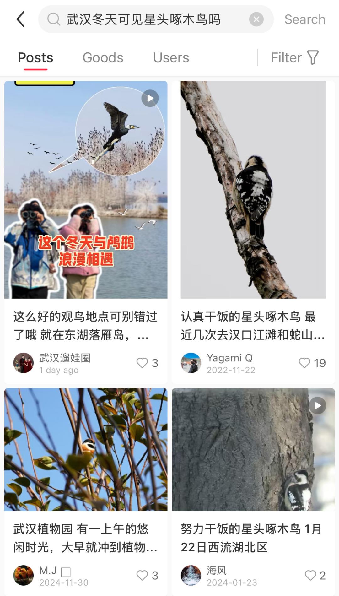 泼天的富贵涌向小红书后,意外发现它的AI搜索玩得这么high了