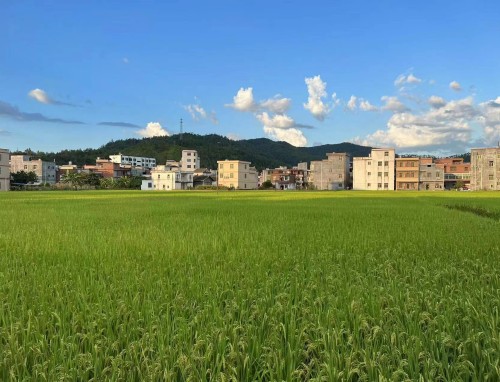 淘宝双十二活动时间表_淘宝双十二什么时候开始_2022双十二开始时间