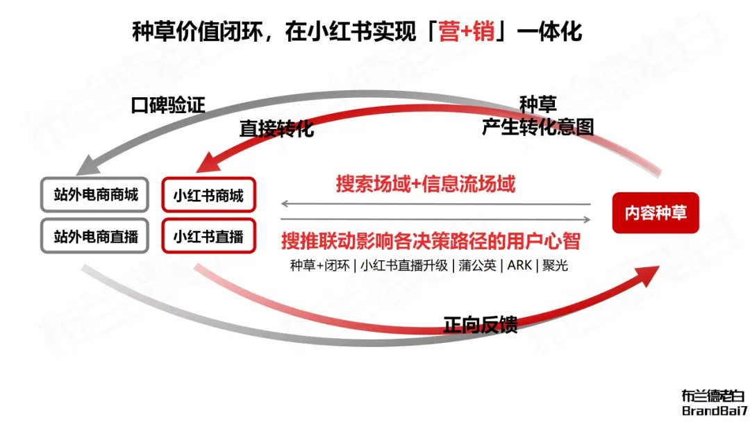 有关小红书电商的30条认知