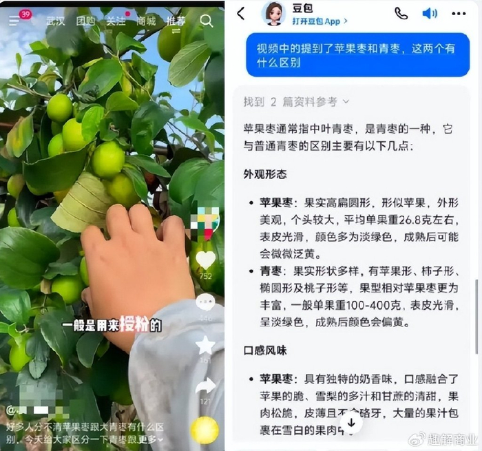 AI原生搜索与AI对话助手对比_小红书AI搜索助手_AI搜索市场分析