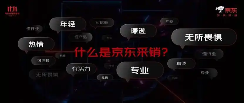 京东双十一_双十一京东优惠力度大吗_双十一京东什么时候开始