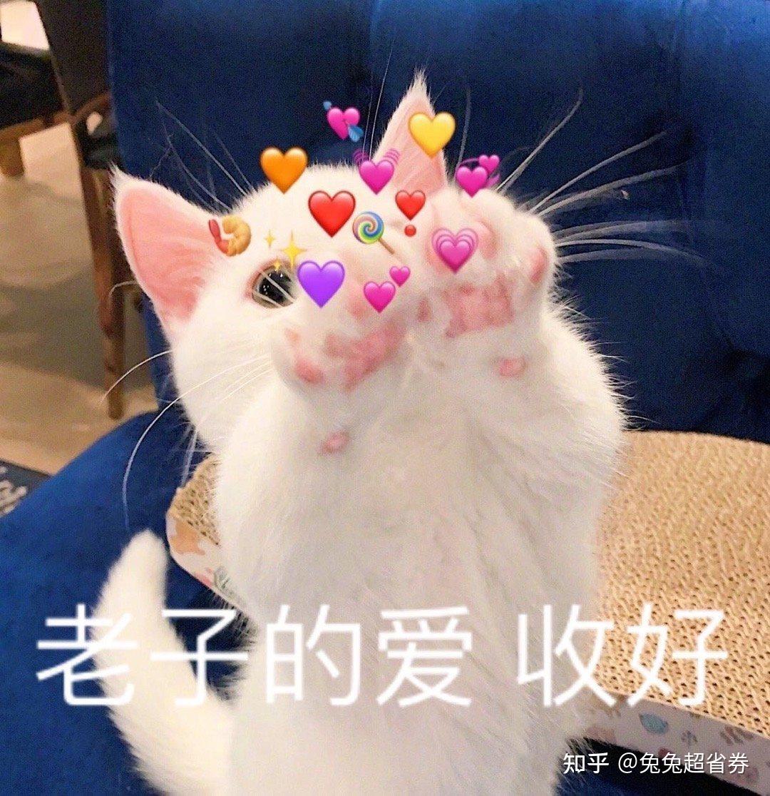 淘宝大额优惠券领取平台_淘宝优惠券_领取淘宝隐藏优惠券