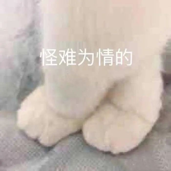 淘宝七夕节活动_年轻人情感需求市场分析_淘宝七夕情感消费