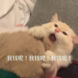 小红书将取消大小周_小红书_小红书客服