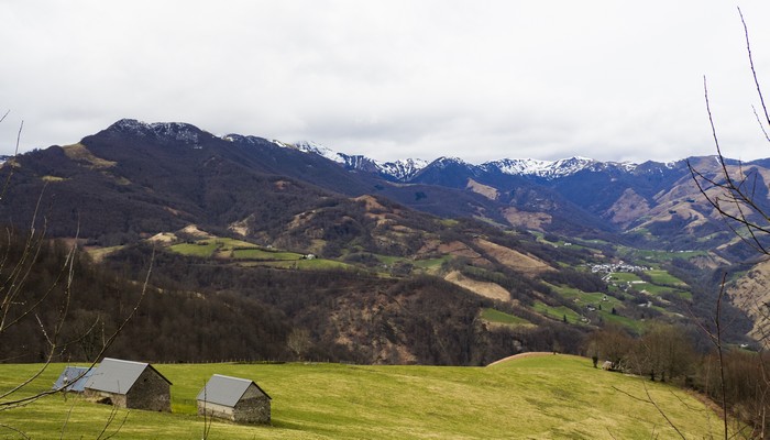 双十一预售劵后什么意思 双十一预售定金规则