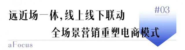 2025淘宝双11活动攻略_灵狐全域融合营销策略_2025年双11电商营销洞察报告