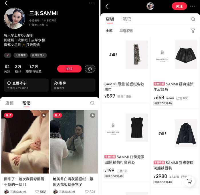 小红书电商运营服务商招募_小红书电商_小红书电商生态运营服务商要求