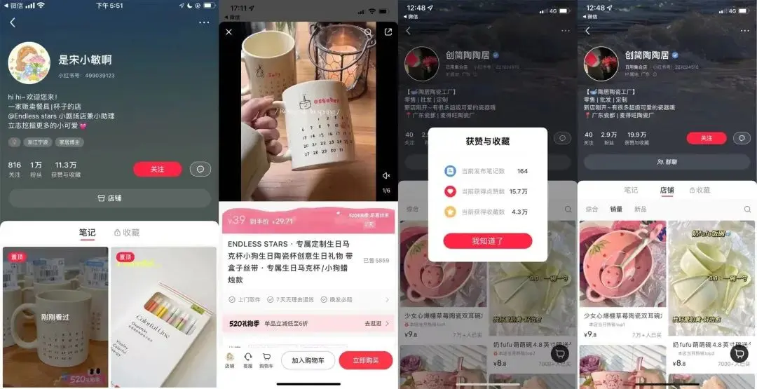 小红书自营电商_小红书电商_小红书如何玩转电商