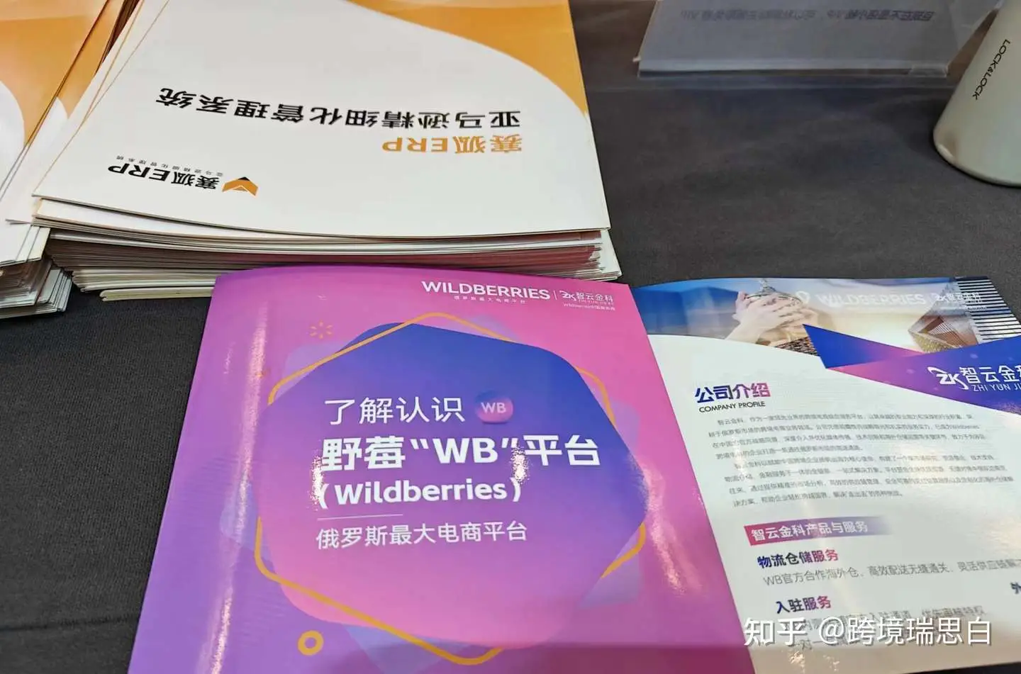 俄罗斯电商_俄罗斯电商平台_俄罗斯电商平台十大排名