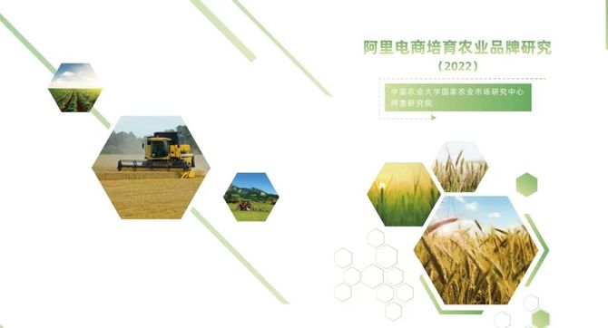 阿里研究院, 阿里电商培育农业品牌研究（2022）