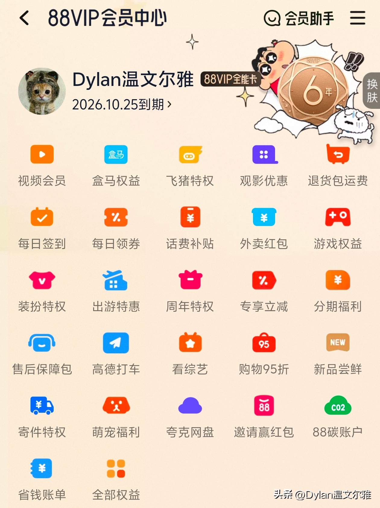 淘宝88vip有必要开通吗_淘宝88VIP会员权益解析_淘宝88VIP开通条件