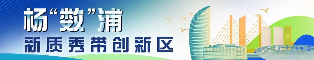 deepseek_共筑杨数浦新质秀带_杨浦区科技创新大会