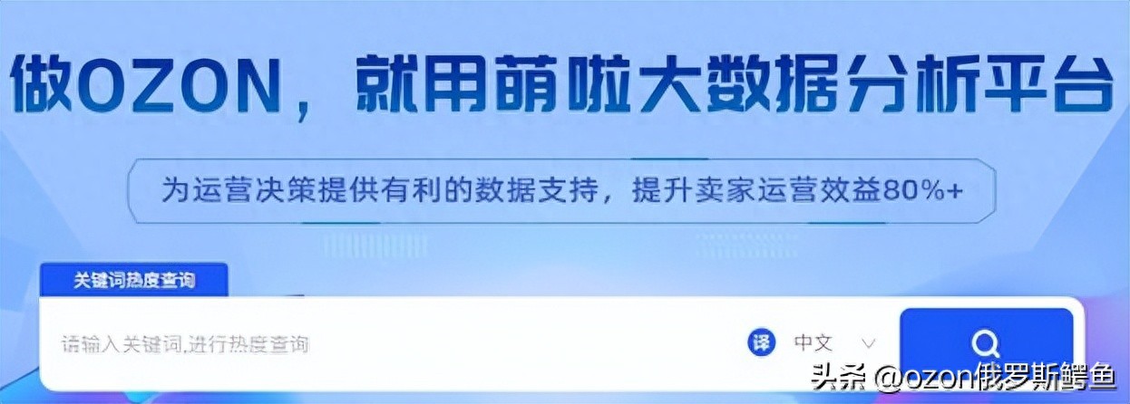 俄罗斯跨境电商OZON平台数据分析_OZON平台市场表现研究_俄罗斯电商
