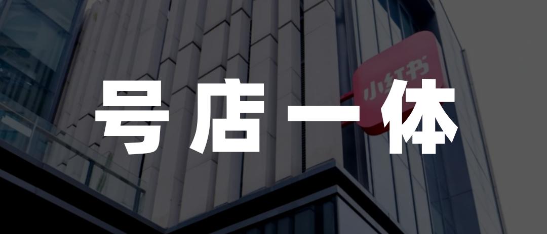 小红书电商_小红书个人商家运营策略_小红书电商发展趋势