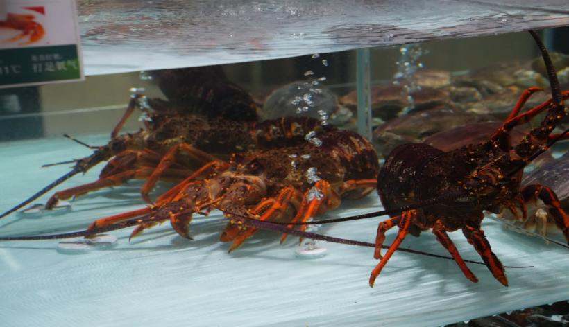 京东七鲜超市_京东超市鲜花卡怎么兑换_京东7鲜超市