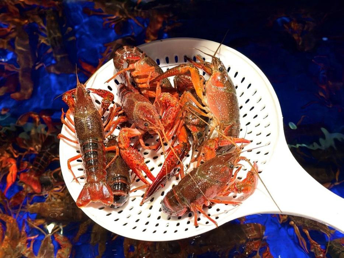 京东七鲜月中回馈日_京东七鲜超市_满99减20优惠