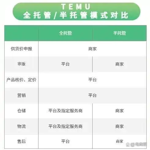 TEMU_Temu全球化扩张_拼多多Temu业绩分析