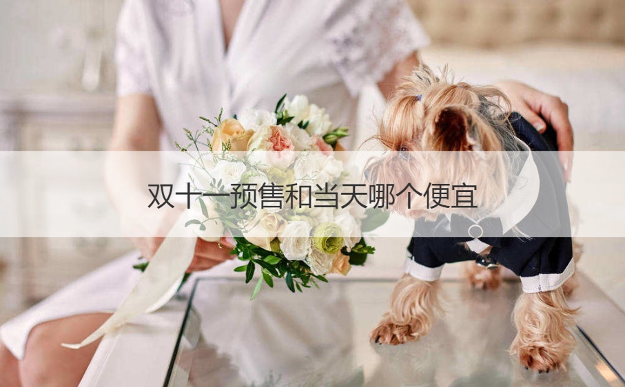 双十一和双十一预售哪个便宜_双十一预售和当天哪个便宜_淘宝双十一预售和当天哪个便宜